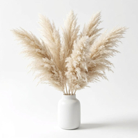 Dekorasi Rumput Pampas Kering, Bulu Rumput Alami Lembut untuk Dekorasi Rumah Gaya Boho, Pampas Tinggi Warna Krem Beige untuk Vas Ruang Tamu Pernikahan