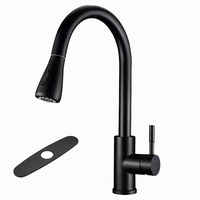 Robinet de Cuisine Rétractable en Acier Inoxydable 201 avec Douchette, Double Mode Eau Chaude et Froide