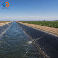 Géomembrane HDPE lisse de 1 mm, anti-UV, imperméable et anti-infiltration pour l'aquaculture, les fermes piscicoles, les étangs, les réservoirs, l'irrigation et les barrages