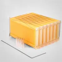De plástico de colmena de abejas con miel salida marcos