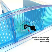 Mini aquarium pour poissons Betta avec lumière colorée pour bureau