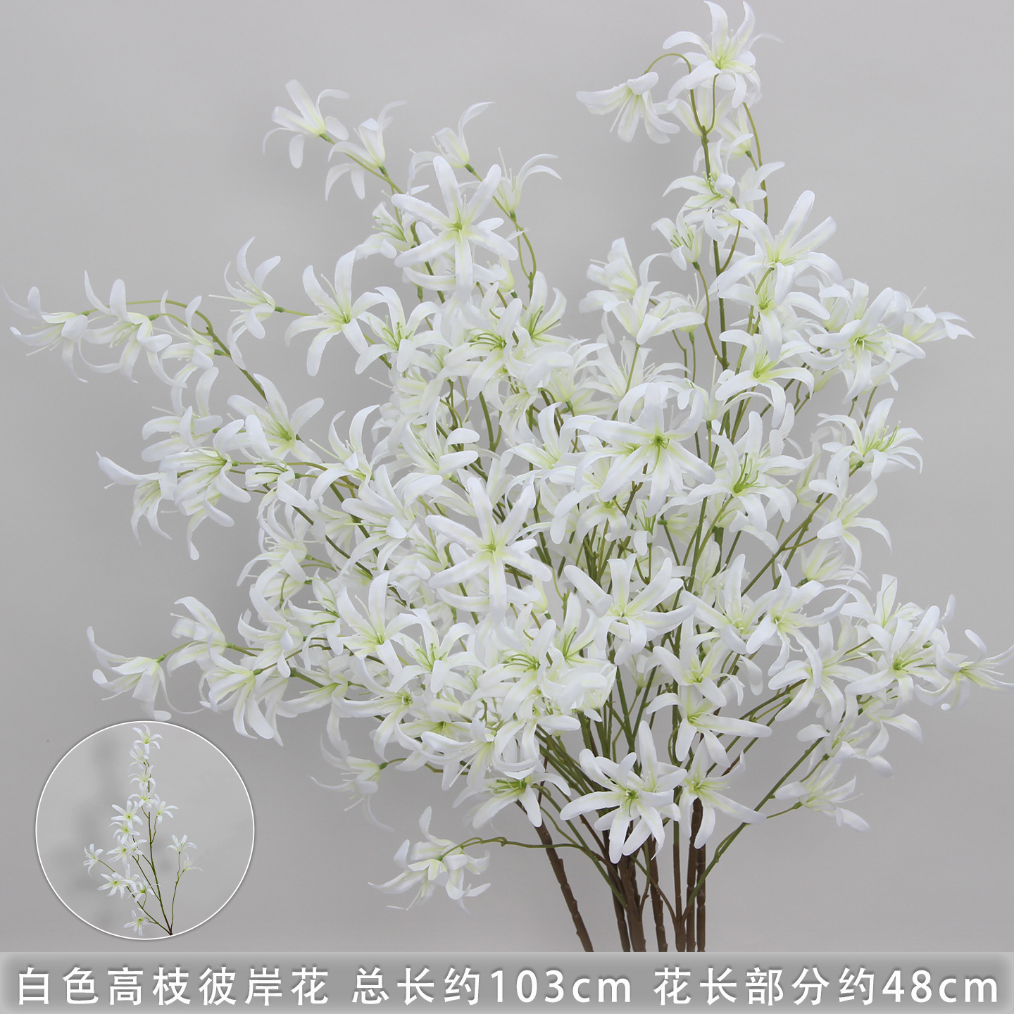 White tall spider lily branches