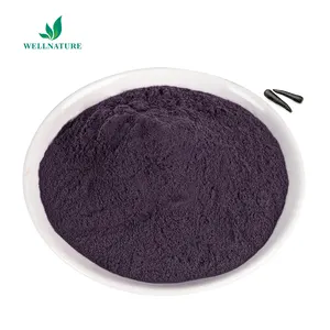 Factory Direct Sale Purple Black Carrot Extract Natural Organic Black Carrot Juice Powder