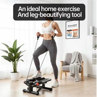 Mini stepper antidérapant avec pédales, capacité maximale 120 kg, affichage numérique et cordes