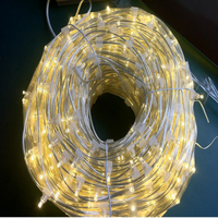 Meilleur prix vert foncé PVC IP65 12V LED Clip arbre lumière 24V cristal chaîne fée guirlande lumières pour la fête de mariage décoration de noël