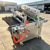 Machine de semis automatique pour divers types de plateaux de cellules, machine professionnelle de semis pour pépinières, serres et plateaux de semis de légumes
