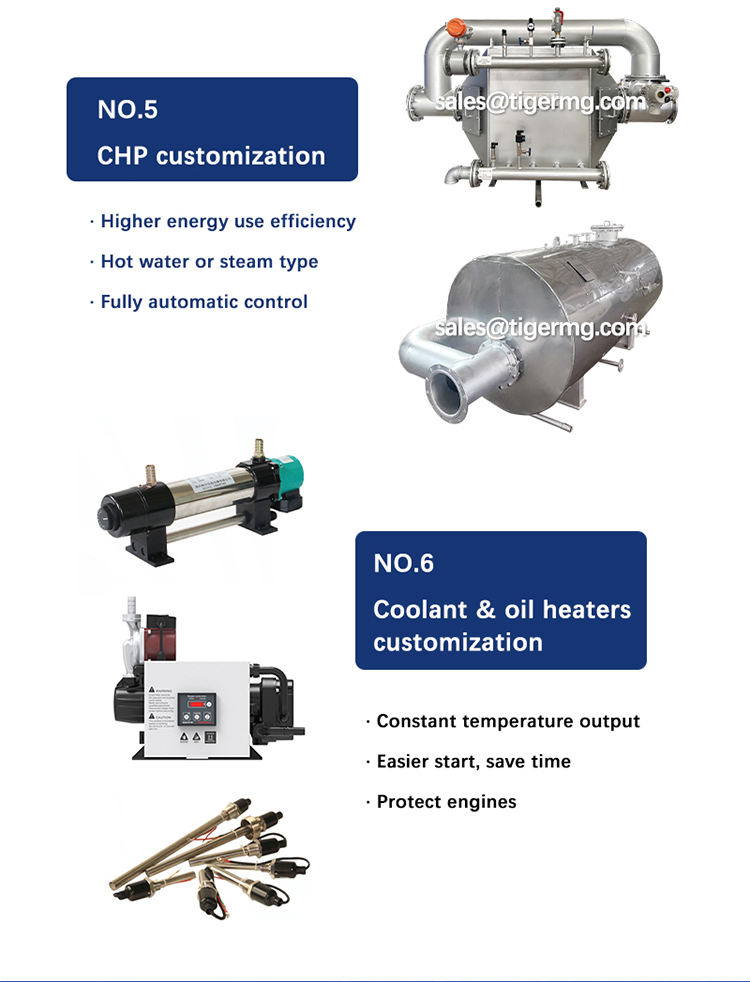 Energy Efficiency Domestic Chp Boiler 100kw Biogas Generator Price