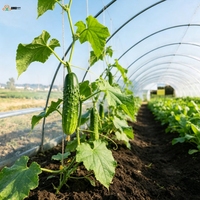 Film plastique pour serre en polyoléfine, film de couverture anti-buée et anti-goutte pour la culture des légumes