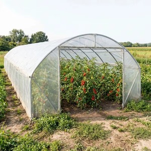Serres agricoles en film plastique à simple travée et double couche, grande taille, avec couverture transparente, fabrication OEM - Product Image 2
