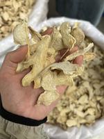 Tranches de gingembre jaune de Yunnan Luoping non traitées - Épicé, qualité supérieure, idéal pour la cuisine, sans soufre