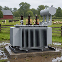 Transformateur de puissance immergé dans l'huile triphasé S20 400 kVA à trois enroulements 50 Hz 60 Hz pour distribution et usage agricole