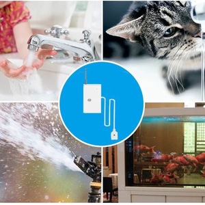 Smart Water Immersion <strong>Detector</strong> 433MHz Wireless Alarm for Household <strong>Leak</strong> Overflow Detection China - Product Image 3