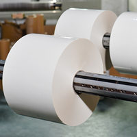 Rouleau d'étiquettes vierges en PP blanc brillant, résistant à l'eau et à l'huile, adhésif permanent, compatible laserjet, pour OKI 1050