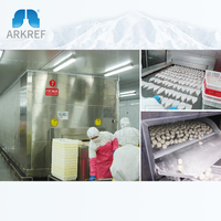 Congelador de Túnel de Alta Eficiencia ARKREF, Congelador de Túnel para Congelación Rápida de Mariscos, Acero Inoxidable 304, Túnel IQF para Alimentos y Carne