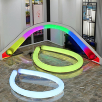 360 Degrés Étanche RGBIC Pixel Smart SPI Adressable 5m Silicone LED Néon Corde IP65 Hôtel Éclairage 24V Tension D'entrée