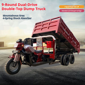 Moto à trois roues à carburant à neuf roues pour famille cargo et usage agricole Moto complète neuve - Product Image 2