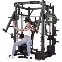 Machine Smith Commerciale Complète et Fonctionnelle Dinuo Steel Gym pour Exercices des Bras et Musculation Unisexe