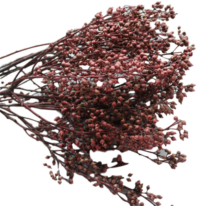 Petit Millet Fruit Fleurs Séchées Préservées Artisanat Maison Cadeau Composition Florale <span class=keywords><strong>Bouquet</strong></span> de Fleurs Fête des Mères Noël - Product Image 1