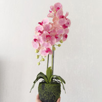 Plante d'orchidée Phalaenopsis artificielle en pot, arrangement floral en soie, fleur décorative rose imperméable pour la maison et le bureau