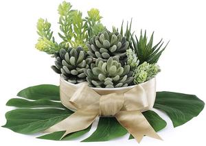 Real Touch Faux <span class=keywords><strong>Suculentas</strong></span> Artificial Echeveria <span class=keywords><strong>Suculentas</strong></span> Selecciones Cactus en verde flocado 3,33 "de ancho X 5" Plantas altas Cactus - Product Image 3