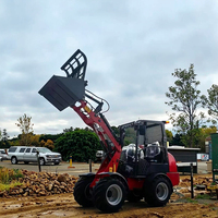 Youngbison Y1160 Mini-Traktor Diesel Hoflader Frontlader Weidemann Schnellwechsler Radlader Essenzieller Motor für die Landwirtschaft