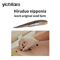 Sangues-de-dragon vivantes Hirudo Nipponia, issues de plantes d'origine, 100% naturelles