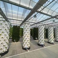 Nouveau système de culture hydroponique automatique à 6 étages LANTAN YN26168 pour ananas, équipement de plantation sans sol avec pompe, garantie 1,5 an
