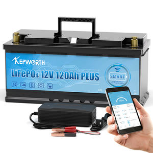 Übersee-Lagerbestand 12,8V 120Ah LiFePO4 Lithium-Batteriepacks mit Bluetooth Deep Cycle Solar für Elektrofahrzeuge Wohnmobile 12V 120Ah BT - Product Image 2