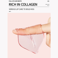 Masque Rose aux Essences Végétales pour les Lèvres Hydratant Éclaircissant Anti-Rides Élimine les Peaux Mortes Fourniture OEM