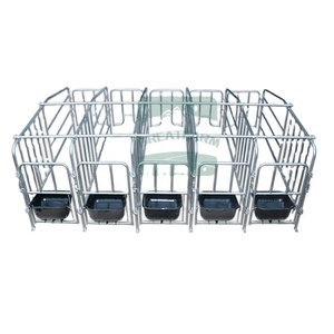 Cama de gestación para cerdas, Jaulas de paridera galvanizadas para cerdos, Corrales, Suelos para cerdos, Equipos para parideras y cerdas en <span class=keywords><strong>venta</strong></span> - Product Image 1