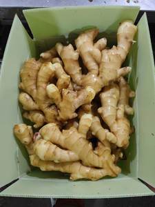 <span class=keywords><strong>Jengibre</strong></span> Fresco Orgánico, Ingredientes Alimenticios Naturales de Vietnam - Product Image 1