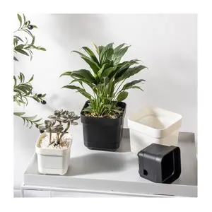 装飾的な正方形4.76.3インチプラスチックホワイトブラック貯水植物ソーサー付き植木鉢