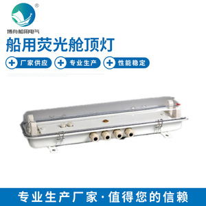 Lámpara de Techo Fluorescente para Cabina TCY40-2E, Lámpara LED Marina para Cabecera con Enchufe, en Existencia, Luces para Gabinete - Product Image 2