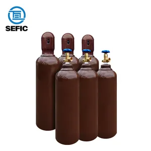 SEFIC Dot3AA 55cf 10.8L 2265psi Empty Steel Industrial Seamless Mini Argon Gas Cylinder Portable Gas Cylinder