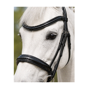 Brida Ecuestre Premium Brillante para Caballo - Product Image 2