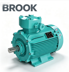 Vendre Moteur Électrique à Induction Triphasé BROOK 4kw 5.5kw 7.5kw 10kw 45kw 55kw 75kw 90kw 110kw 132kw 200kw 250kw 280kw 315kw - Product Image 3