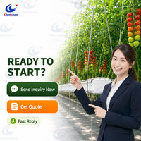 Bac à substrat pour cultures florales, résistant à la corrosion, facile à installer, avec système automatisé, fournisseur pour ferme horticole