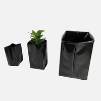 Sacs de culture réutilisables en plastique LDPE carrés, résistants aux UV, de 1 à 30 gallons, blancs et noirs, respirants, écologiques, pour fraises, tomates et arbres fruitiers