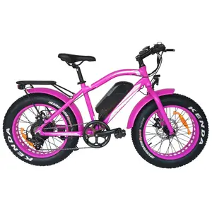 New Arrival Fat Tire Electric Bicycle For Kids