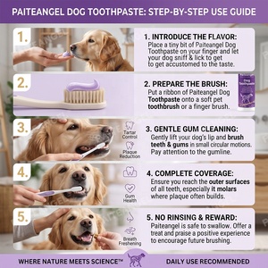 Dentifricio Enzimatico per Cani, Cura Dentale per Animali Domestici 72g, Spray con Pompa, Formula per la Salute delle Gengive, Controllo Placca e Tartaro, Rinfrescante per l'Alito, Etichetta Privata - Product Image 4