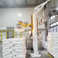 Robot de palettisation robuste à 4 axes de type colonne pour sacs tissés en PP, avec pince à fourches pour sacs en polypropylène
