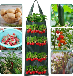 Pimiento picante al revés, bolsas para macetas de fresa, bolsa para cultivo de fresa colgante de tomate con 4 agujeros - Product Image 5