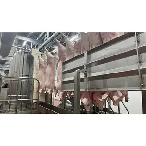 Conception 50-100 Abattoir de porcs Équipement complet d'abattage Ligne de boucherie d'abattoir