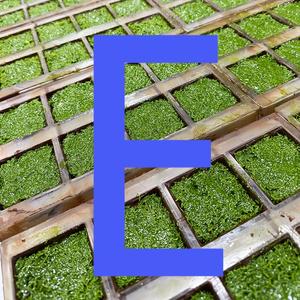 하이 퀄리티 두바이 초콜릿 피스타치오 잼 최우수 판매자 공장 직접 도매 OEM ODM 전문 제조 - Product Image 4