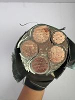 Cable Industrial Flexible con Aislamiento XLPE y Núcleo de Cobre, Clasificación IP66, para Uso en Electrodomésticos y Construcción