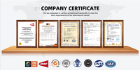 Revêtement de sol sportif modulaire en bois certifié EN14904 pour gymnase scolaire, système de pose sans outils, terrain de basketball, imperméable et durable