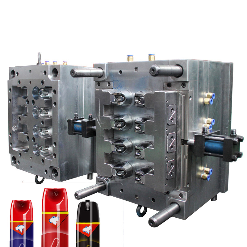 Professional Custom Plastic Injection Mold Insect