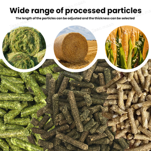 Nuovo Mulino Economico per Mangimi di Piccoli Animali e Pollame, per Pellettizzazione/Lavorazione di Paglia e Cereali, Capacità 500-2500kg/h - Product Image 5