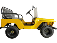 Vente d'usine - Mini quads Willys 110cc à essence, 2 roues motrices, 4 temps, automatiques, certifiés EPA et EEC, UTV pour enfants