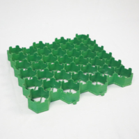 Dalle de Stabilisation de Gravier en Plastique Perméable pour Voiture et Gazon